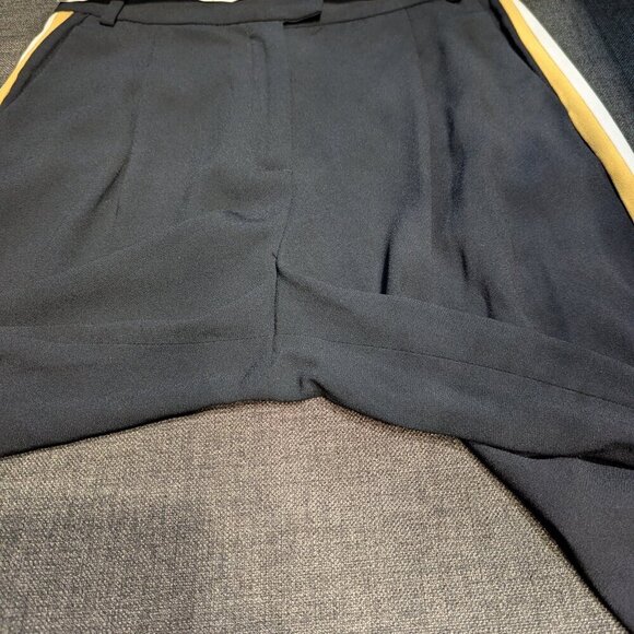 Aritzia Babaton Sadiki Pants | Side Stripe | Office Chic - Picture 9 of 11